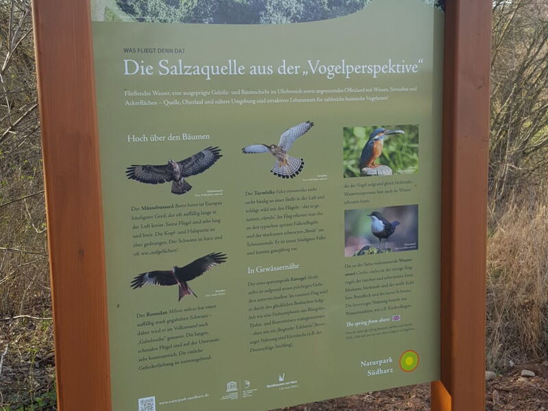 Infotafel zum Thema Vogelwelt