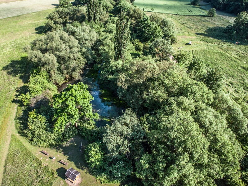 von Sträuchern und Bäumen gesäumtes Wasserloch inmitten einer Wiesenlandschaft, fotografiert aus der Vogelperspektive
