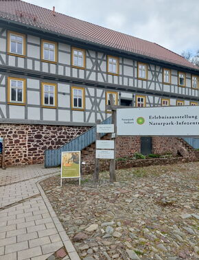 Grashalme in grüner Landschaft