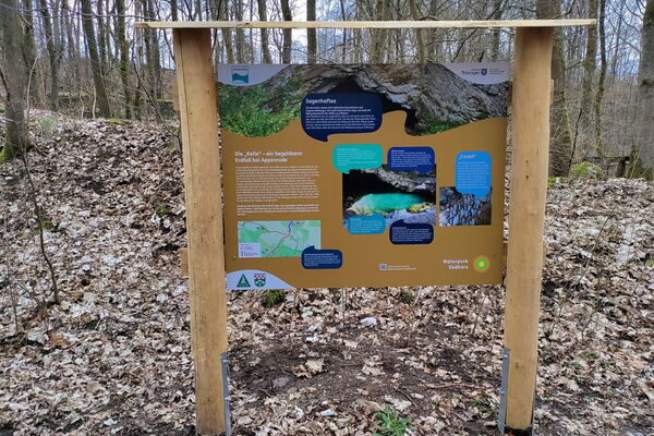 Informationstafel im Wald mit Fotos und Texten zum Kelle-Erdfall