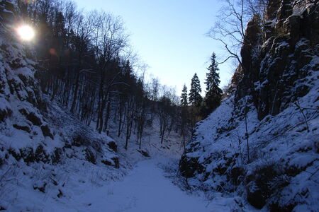 verschneiter, felsgesäumter Taleinschnitt mit Bäumen und Fahrweg in der Talsohle