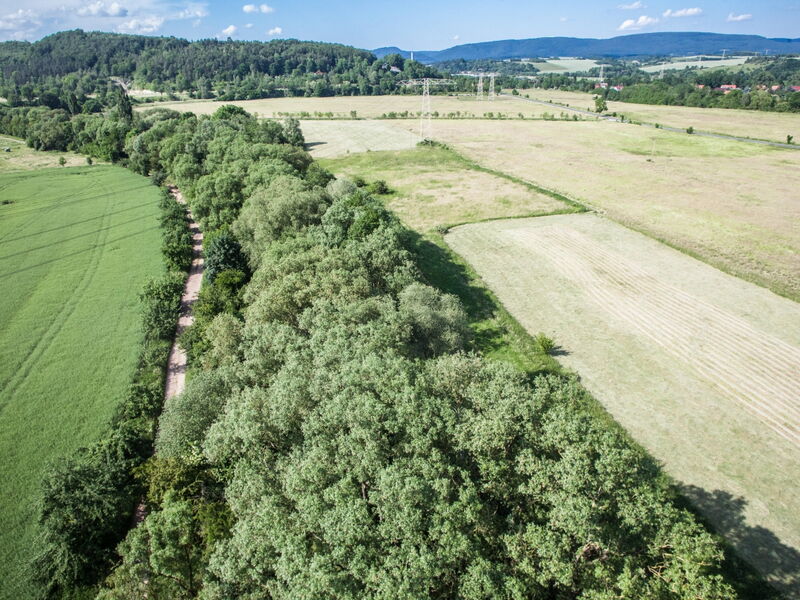 Luftbild eines dichten, Gehölzstreifens zwischen Wiesen und Feldern. Am Horizont ist ein dunkler Höhenzug zu sehen. Der Himmel ist blau mit vereinzelten Wolken.