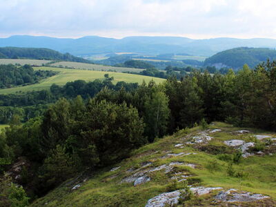 Hügellandschaft mit Wald, Feldern und Wiesen, im Vordergrund ragt weißes Gipsgestein durch die Rasenfläche