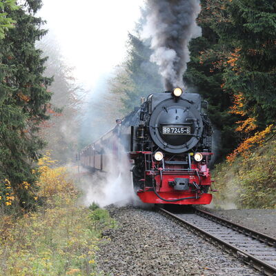 Dampflok fährt durch den Wald im Südharz