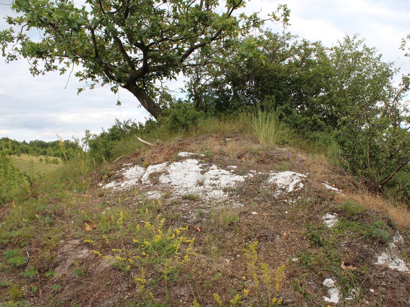 kleiner, mit lichter Vegetation bedeckter Hügel. An einigen Stellen ragt weißes Gipsgestein an die Oberfläche.