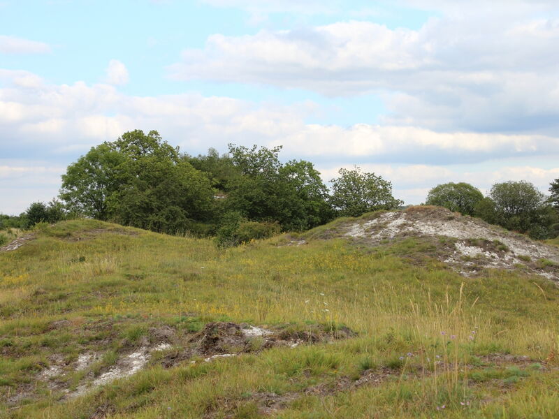 hügelige, lichte Landschaft, die mit Kräutern, Gräsern, Sträuchern und Bäumen bedeckt ist. Dioe Hügelkuppen sind teilweise aufgebrochen und weißes Gipsgestein ist sichtbar