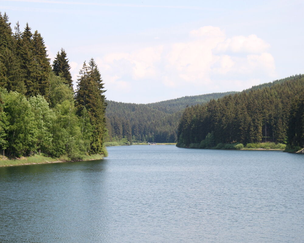 angestaute Wasserfläche der Talsperre Neustadt inmitten von Fichtenwäldern