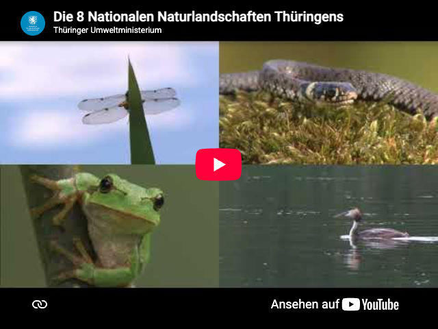 Standbild aus dem Video: Die 8 Nationalen Naturlandschaften Thüringens