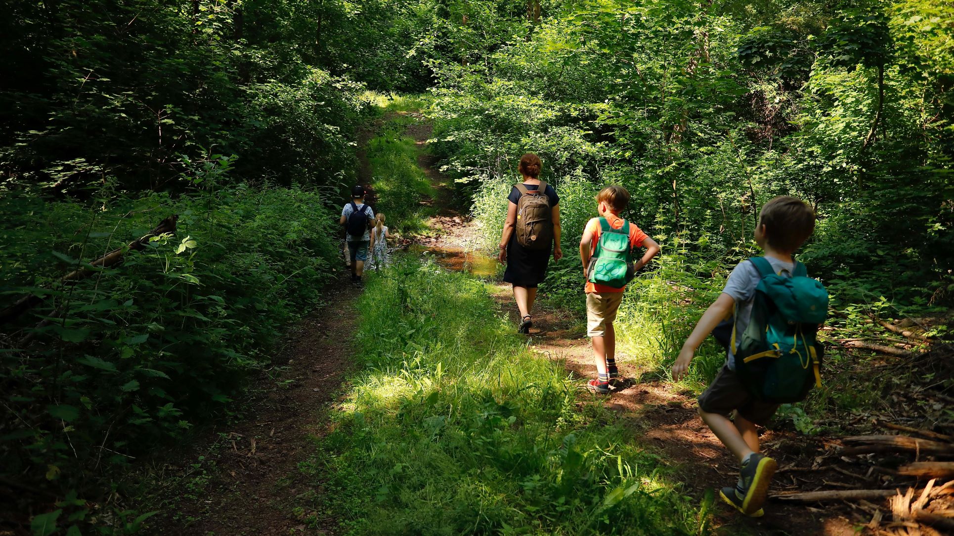 ein kleine Gruppe von Kindern und Erwachsenen wandern auf einem schattigen Abschnitt durch den Wald