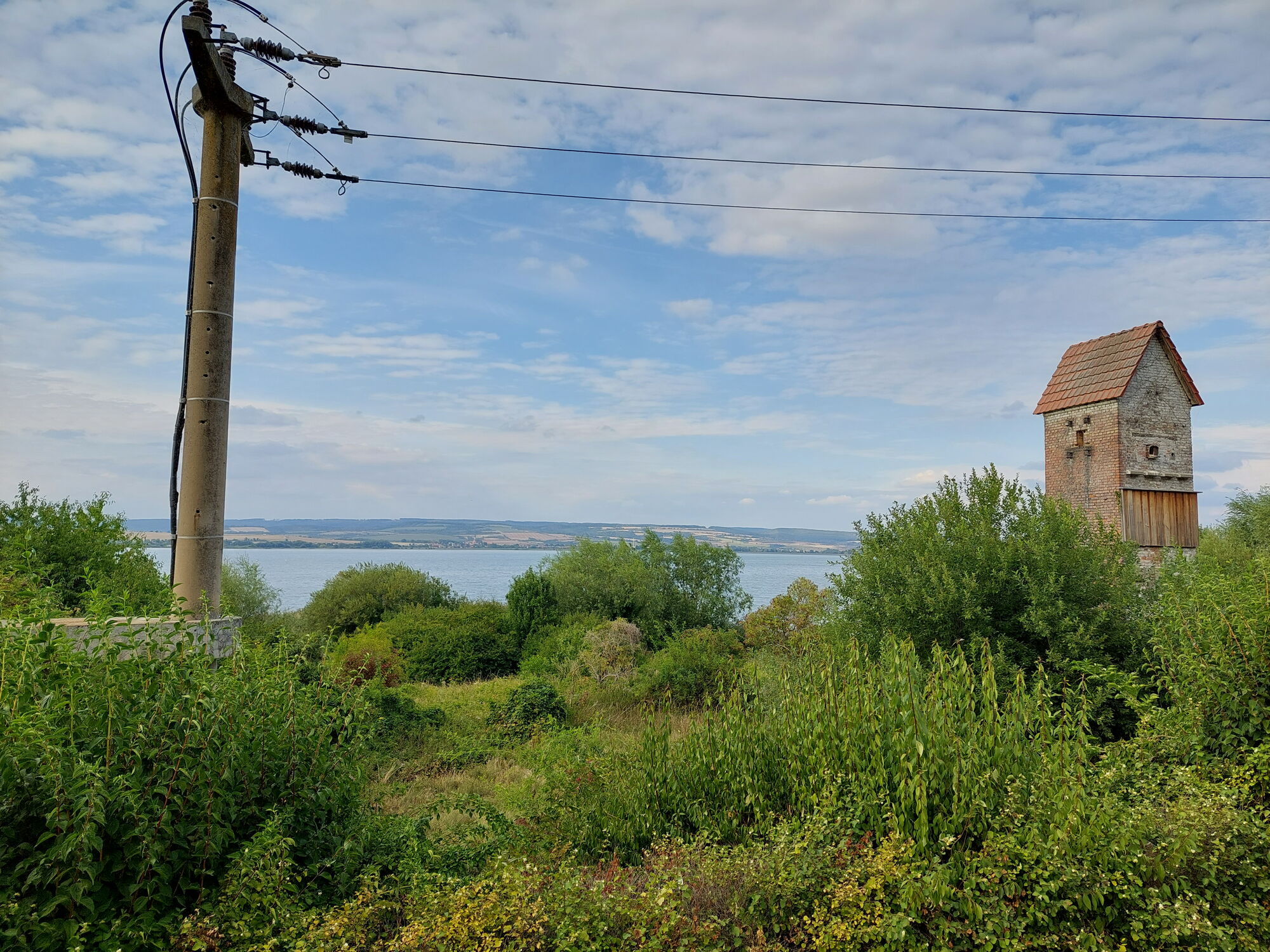 Hecken und Gebüsche, dahinter eine große Wasserfläche und das gegenüber liegende Ufer mit Höhenzug