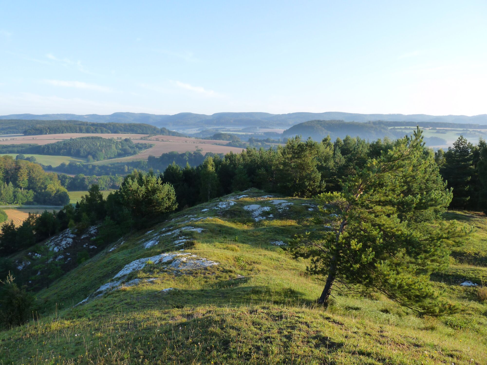 Panoramablick in eine Hügellandschaft mit Feldern, Wiesen und Wäldern, am Horizont ein Höhenzug