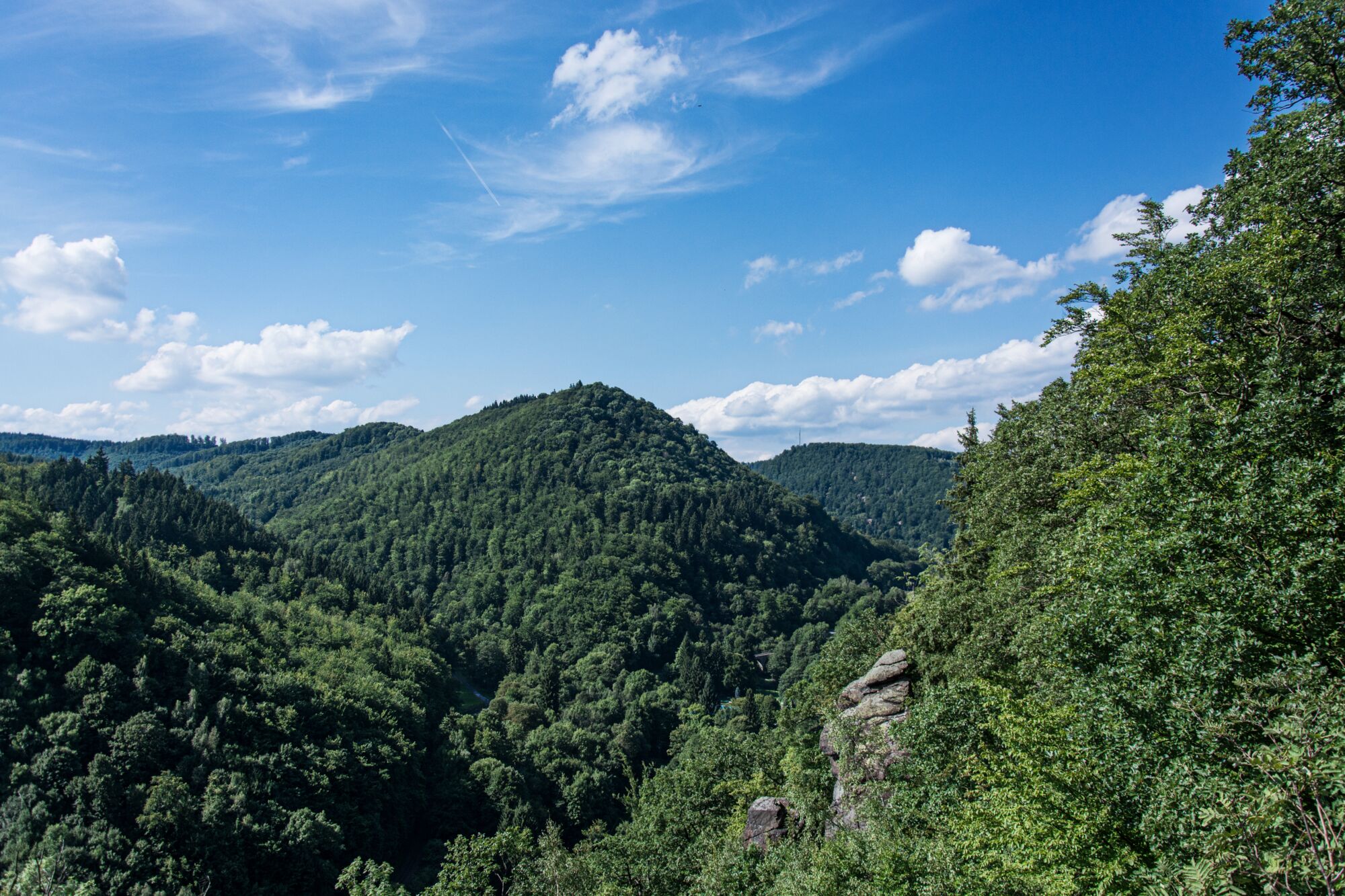 Waldlandschaft mit bewaldeten Kuppen am Südharzrand