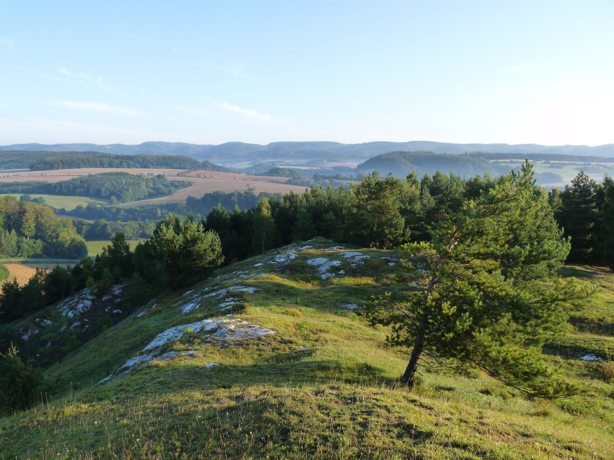 Aussicht über weißes Gipsgestein auf Trockenrasen bei klarem Wetter