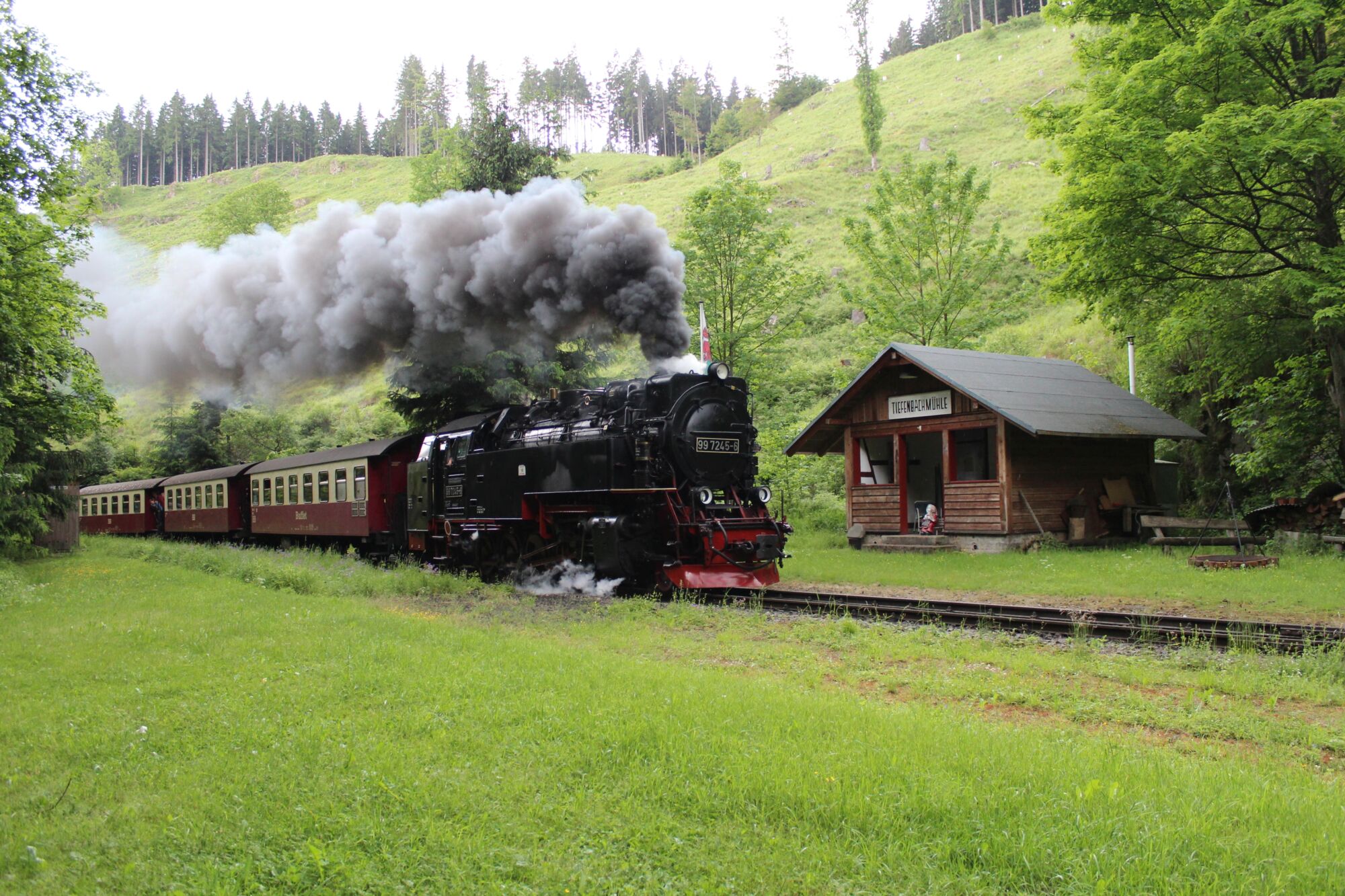 Südharzer Dampflok Steig